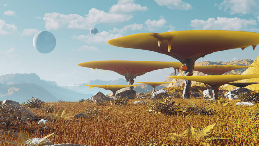 Terrus-51c Surface
